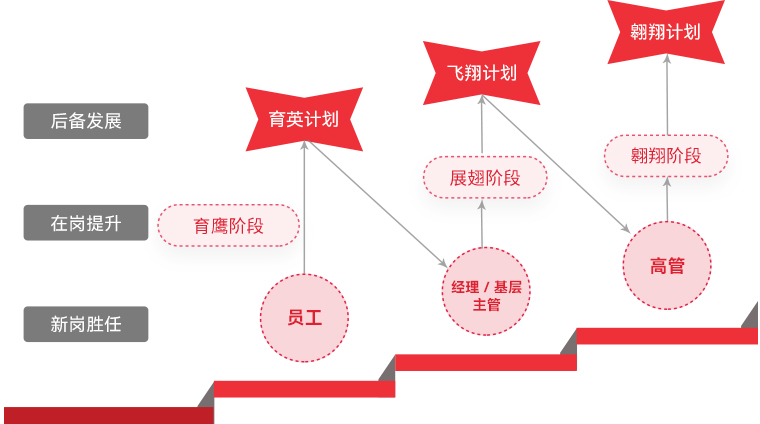 利亞德 "雄鷹計劃"人才梯隊培養(yǎng)