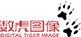 數(shù)虎圖像